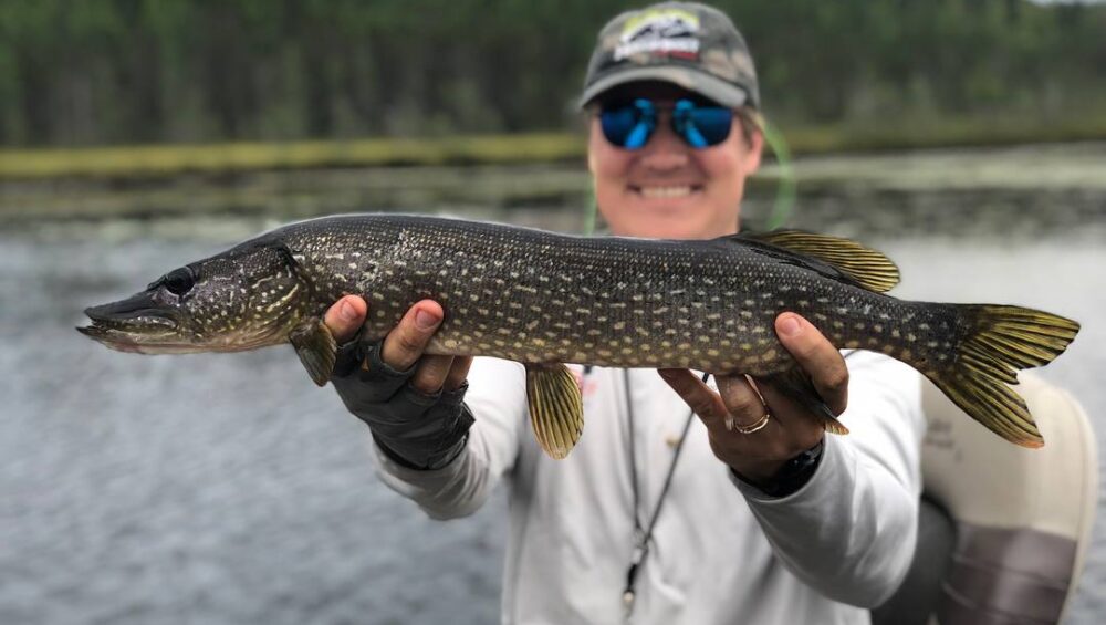 Adirondack bass fishing and pike fishing photo