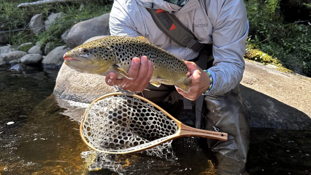 Adirondack fishing reports